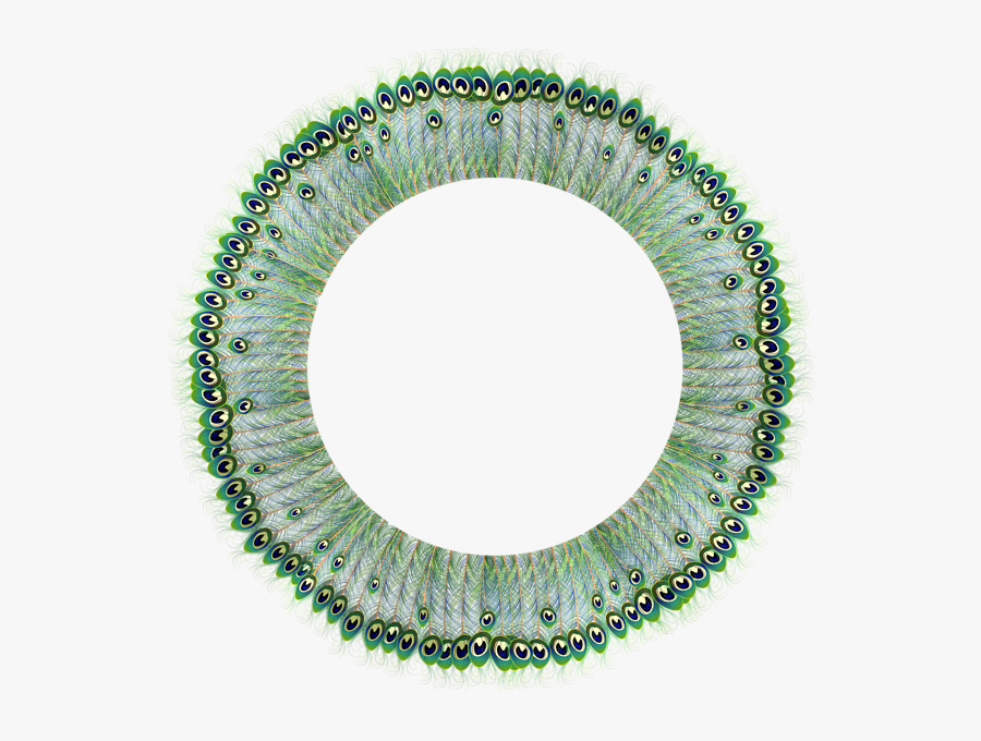 Round Frame, Peacock, Clip Art, Frames, Peafowl, Peacocks, - Frame Round Png, Transparent Clipart