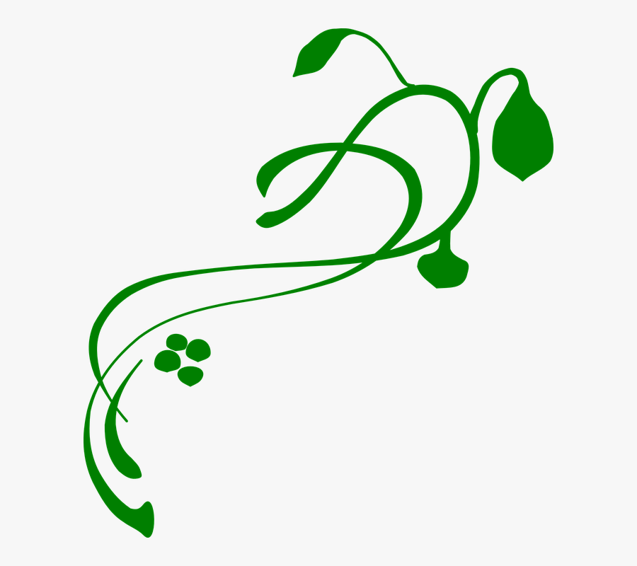 Flourish, Vine, Green, Flower, Plant, Decoration, Swirl - Vines Clip Art, Transparent Clipart