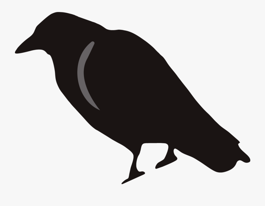Crow Clipart Birds And Clip Art Photo Crowclipart Clipart - Free Crow Clipart Black And White, Transparent Clipart