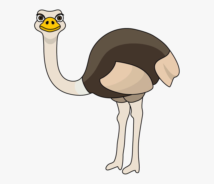 Ostrich - Clipart - Ostrich Clip Art, Transparent Clipart