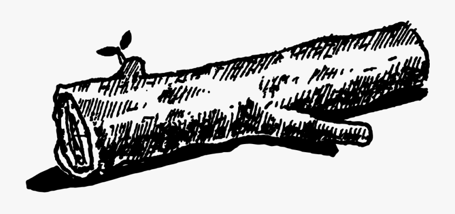 Log Clip Art, Transparent Clipart