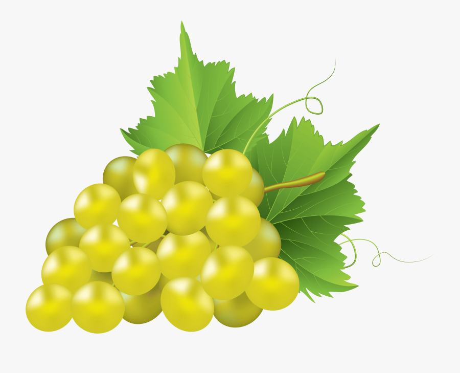 Chardonnay Grapes White Background, Transparent Clipart