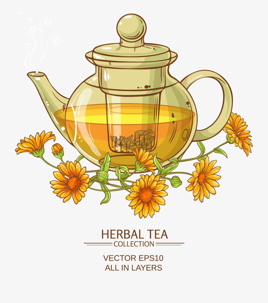 Chrysanthemum Tea Flowering Tea Calendula Officinalis - 차 주전자 일러스트, Transparent Clipart