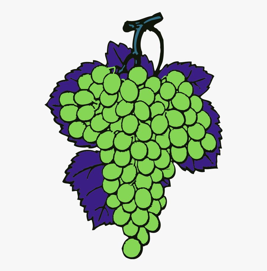 Grapes Vine Fruit - Joshua And Caleb Verse, Transparent Clipart