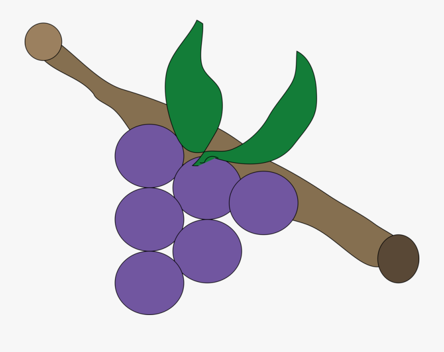 Plant,grape,grapevine Family - Buah Anggur Animasi, Transparent Clipart