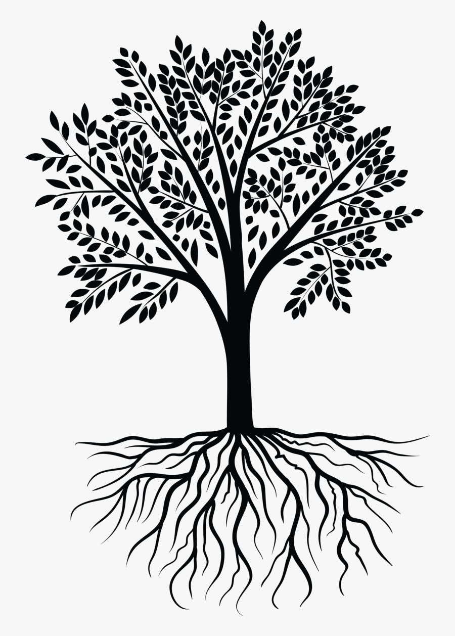 Tree Vector Black White - Tree Clipart Black And White Transparent, Transparent Clipart