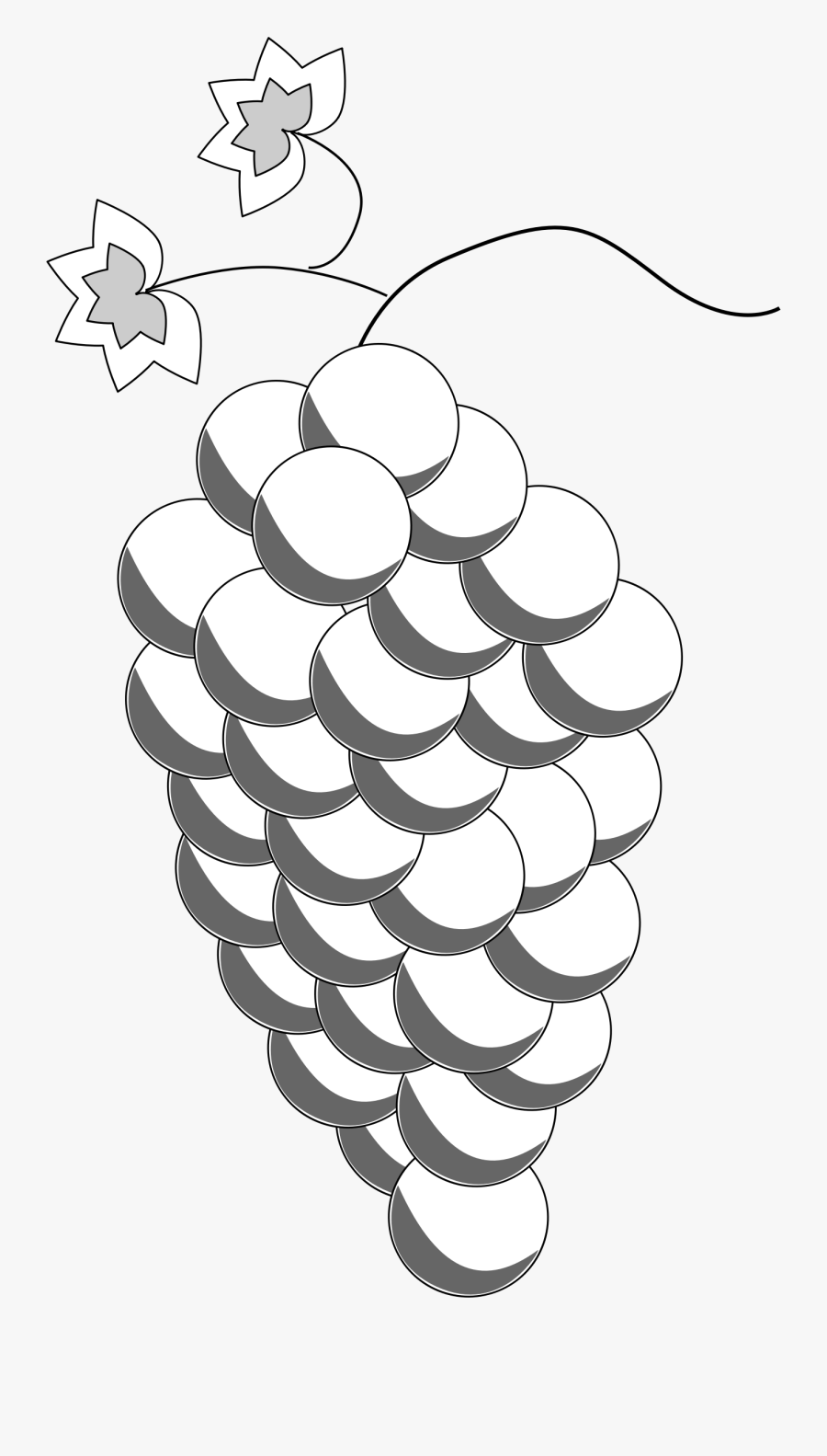 Grapes Line Art Clip Arts - Anggur Vektor, Transparent Clipart