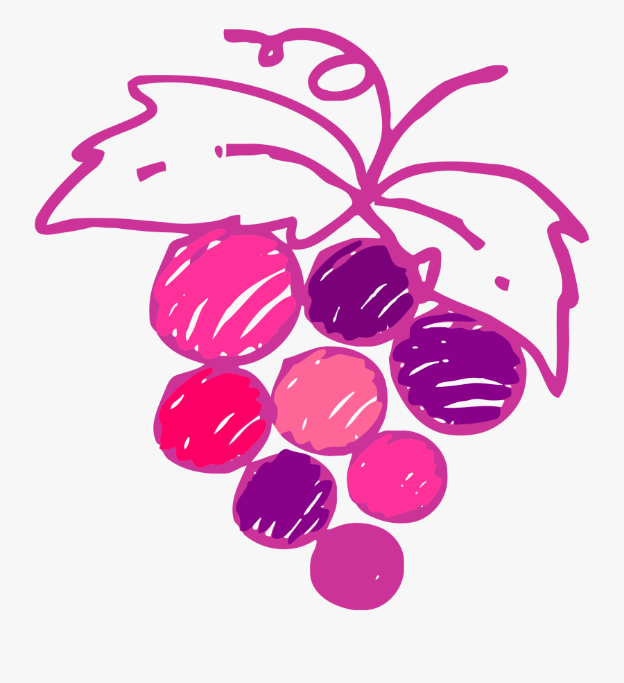 Disegni Stilizzati Grappoli Uva, Transparent Clipart