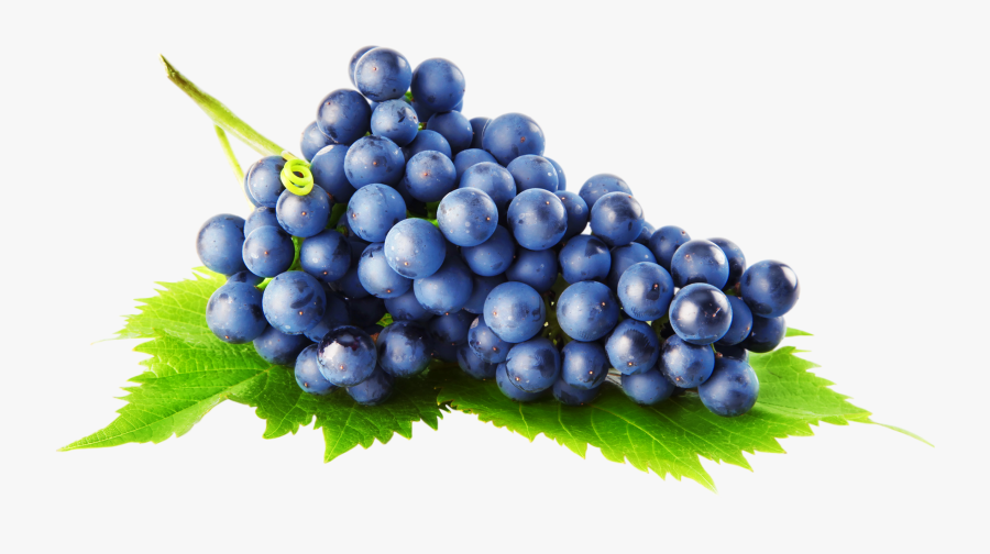 Crno Grožđe, Transparent Clipart