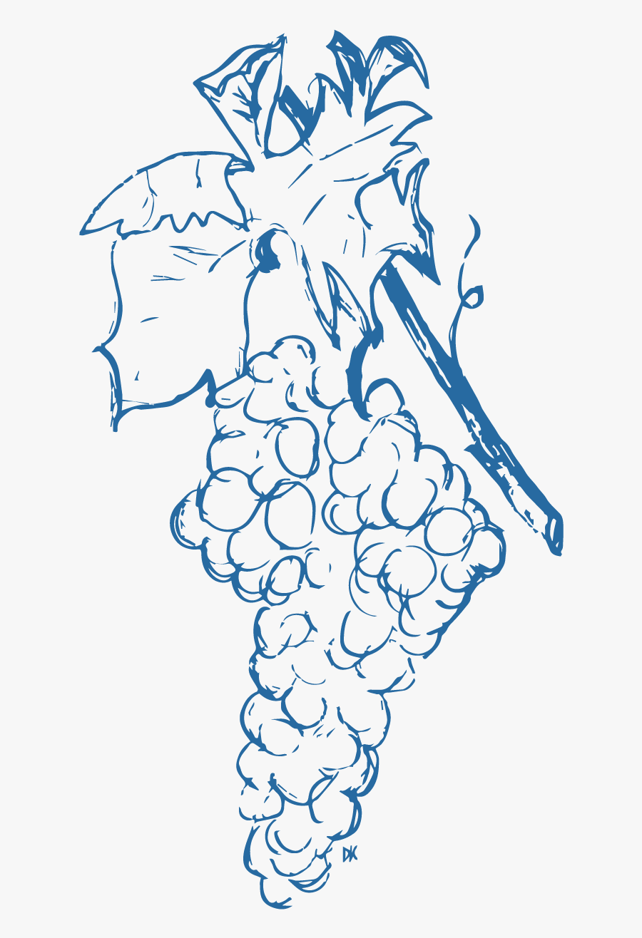 Grapes-01 - Sketch, Transparent Clipart