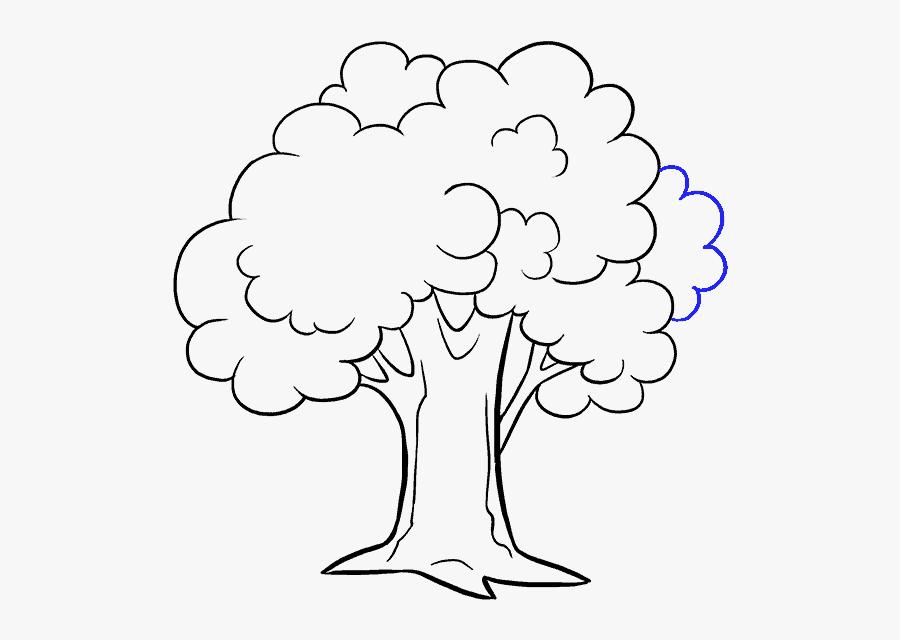 Clip Art Black And White Cartoon Tree Tree Pictures For Drawing