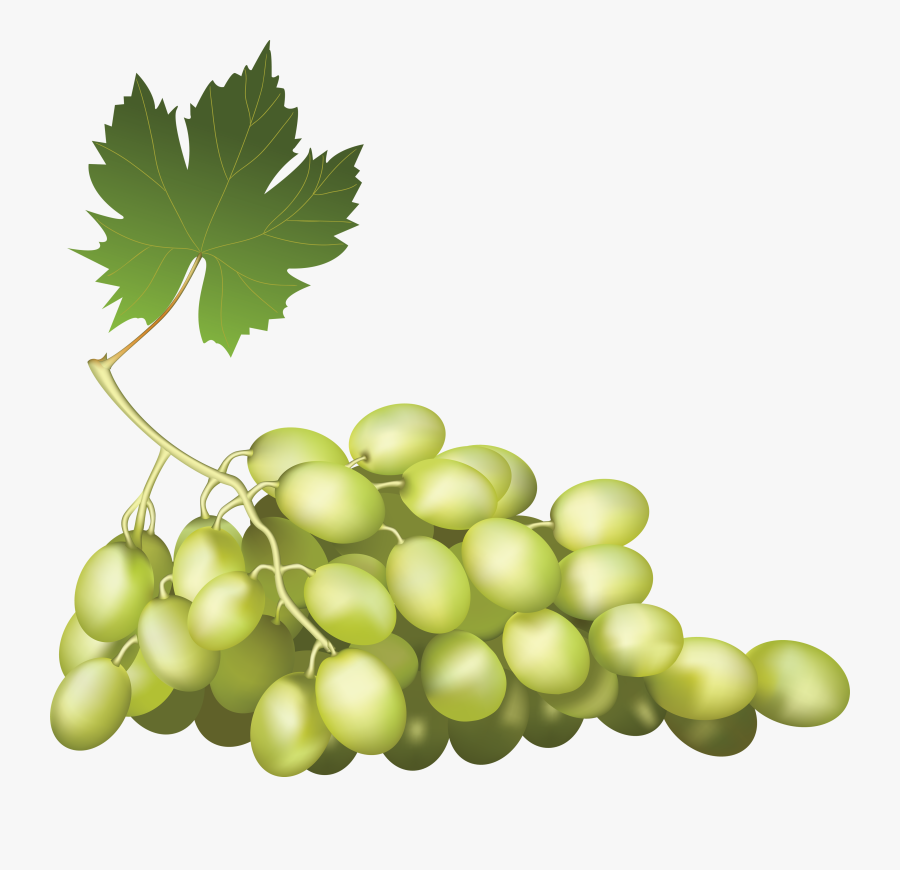 Transparent Green Grapes Clipart - Vector Fruit Basket Logo, Transparent Clipart