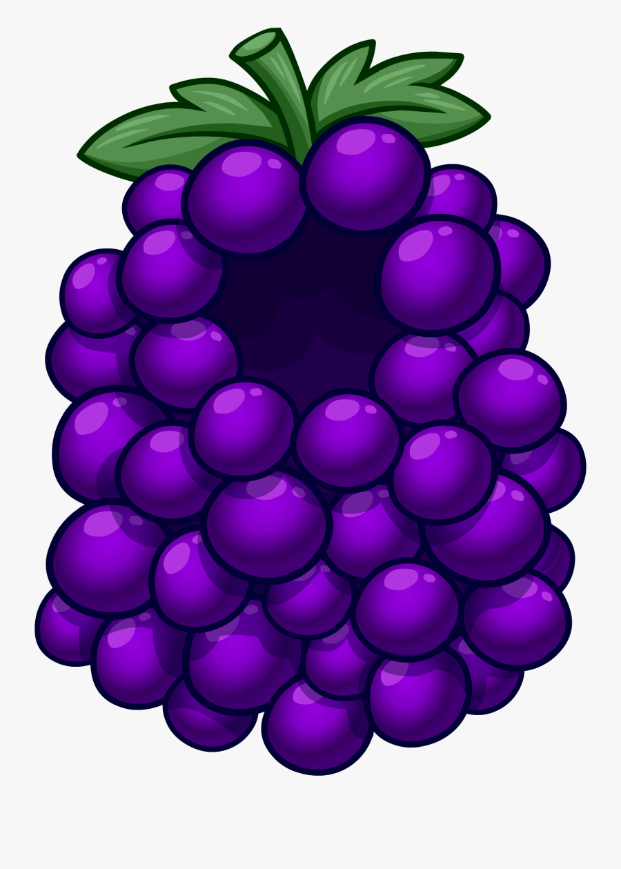 Club Penguin Wiki - Club Penguin Grape Costume, Transparent Clipart