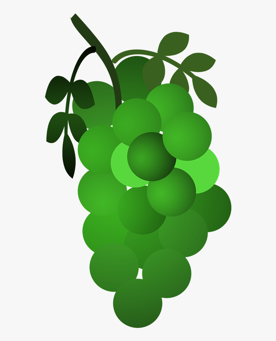 Seedless Fruit, Transparent Clipart
