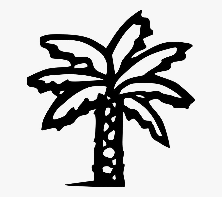 Palm Tree Graphic - Palm Tree Clip Art Black, Transparent Clipart