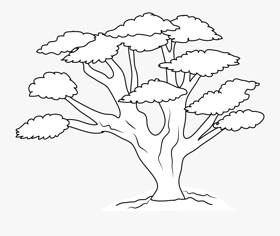 Transparent Tree Clipart Black And White - Illustration, Transparent Clipart