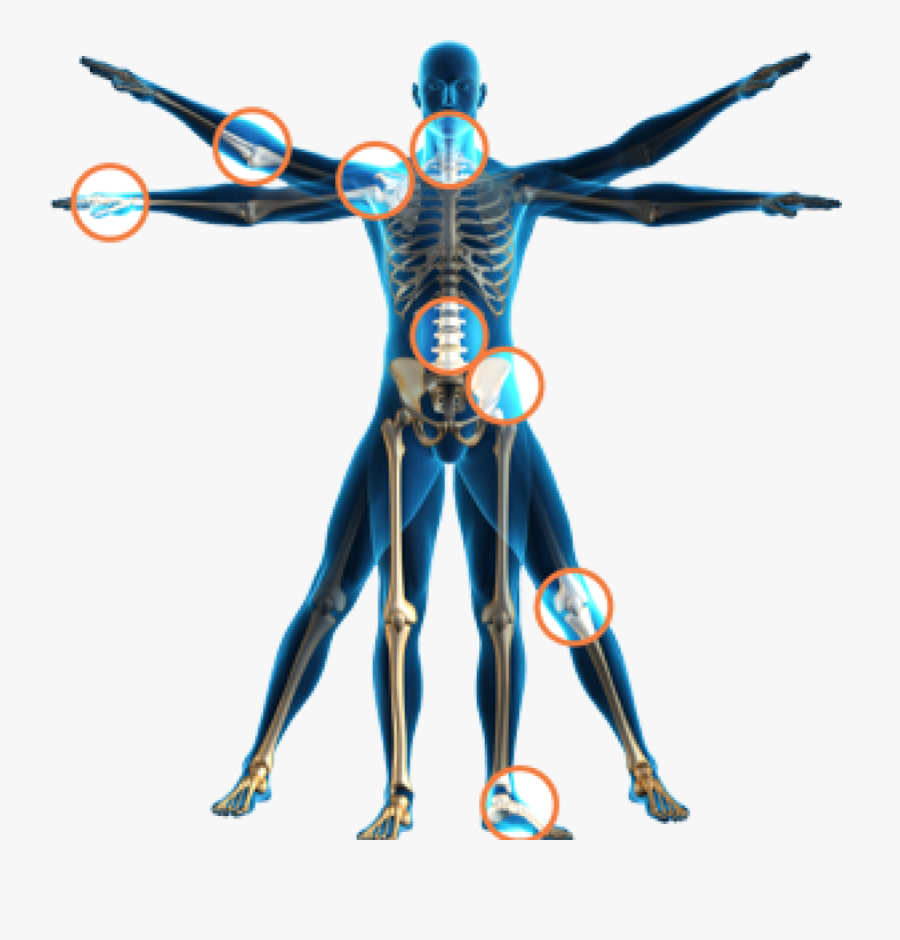 Physical Therapy Health Spinal Adjustment Human Body - Physical Therapy, Transparent Clipart