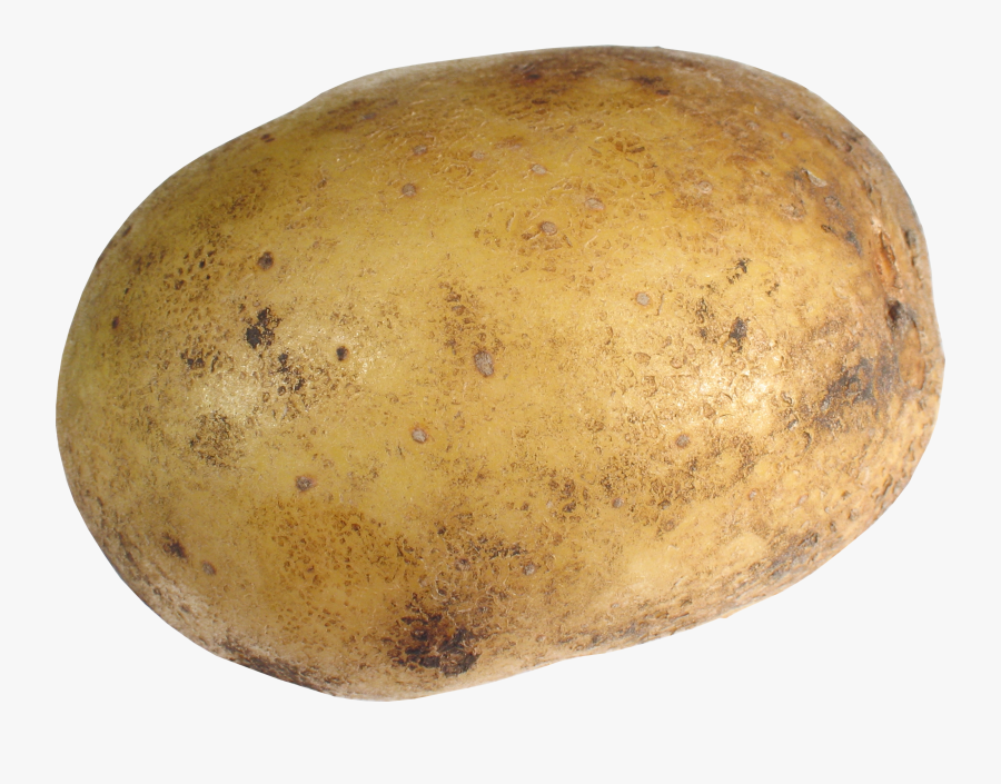 Potato Clipart, Transparent Clipart