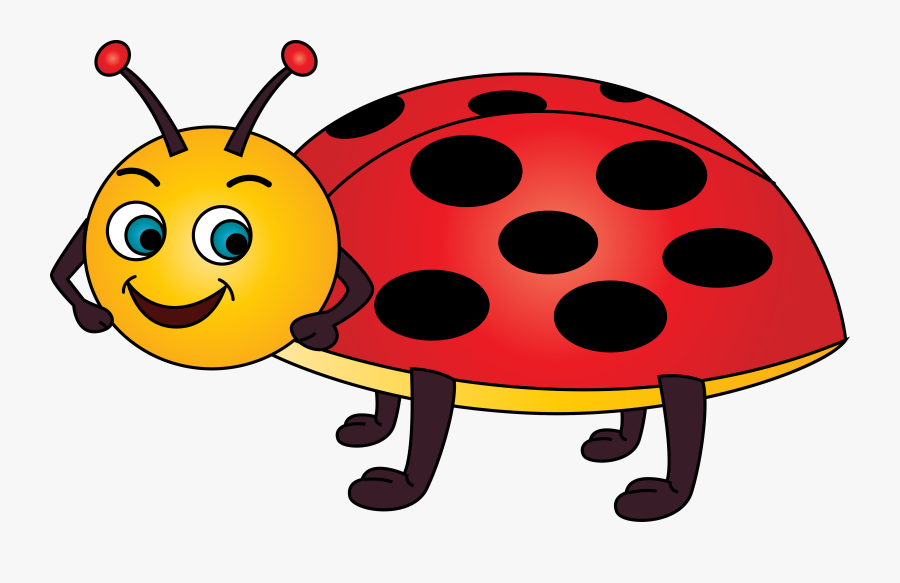 Cartoon Ladybird Clip Art - Lady Bird Clip Art, Transparent Clipart