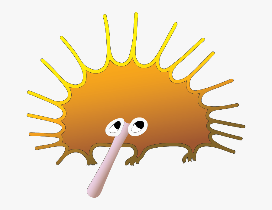 Junior Field Naturalists Sa - Cartoon, Transparent Clipart