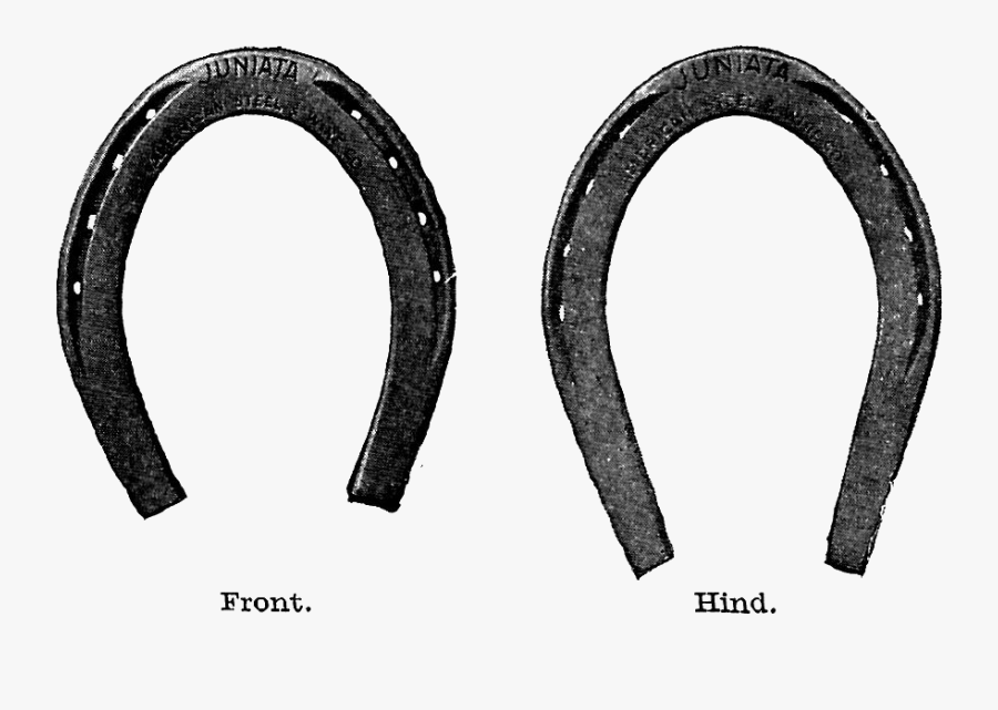 Horse Shoe Free Horseshoe Clip Art Images Clipartfest - Circle, Transparent Clipart