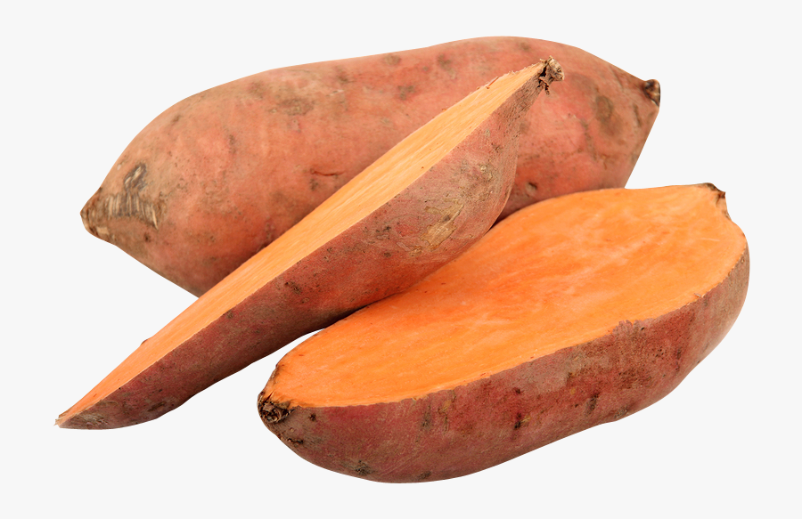 Clip Art Library Download Buy Vegetable Purees Fruit - Sweet Potato Transparent Background, Transparent Clipart