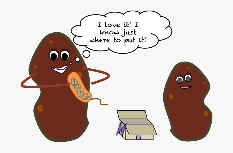 Sweetpotatocartoon - Gmo Potatoes, Transparent Clipart