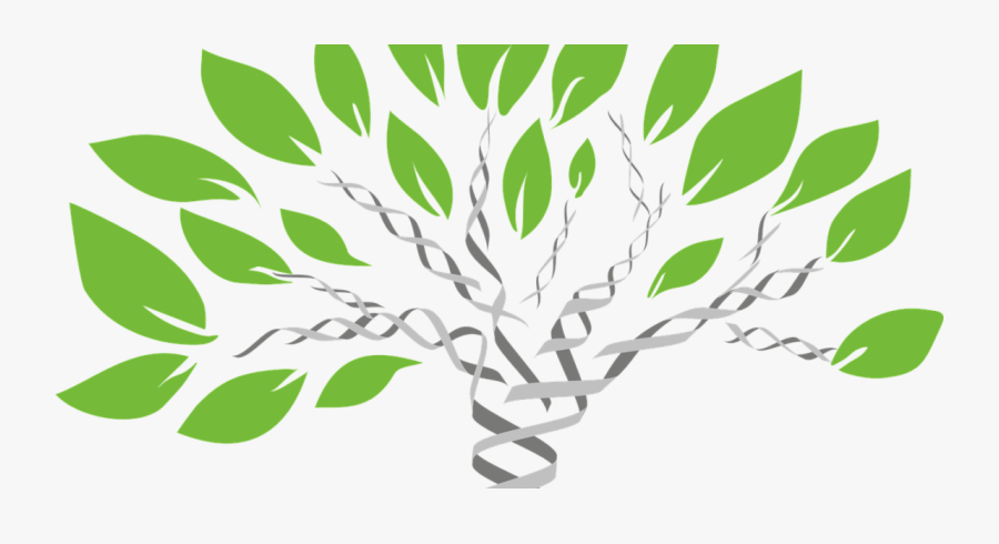 New Inventions In Biology 2019, Transparent Clipart