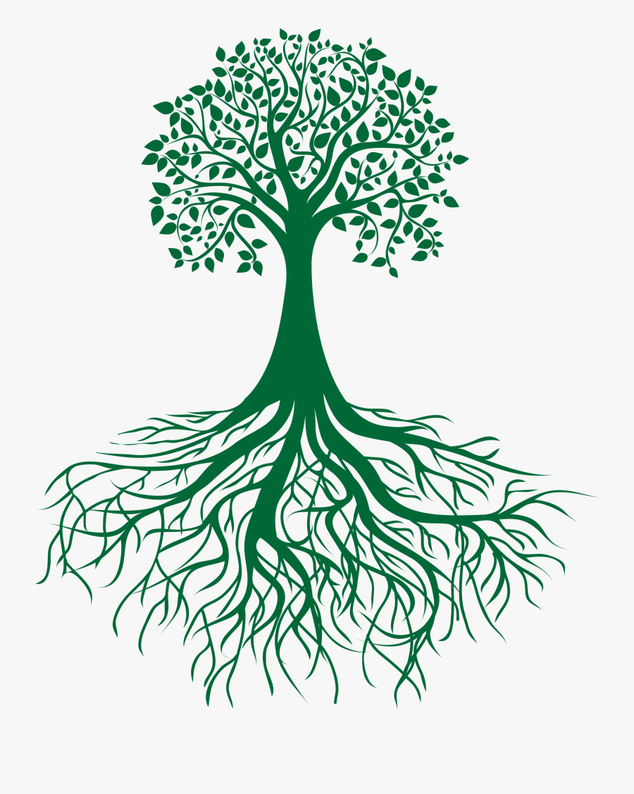 Family Tree Clip Art, Transparent Clipart