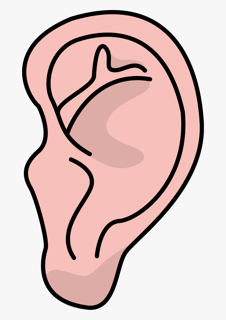 High Resolution Ear Clip Art, Transparent Clipart