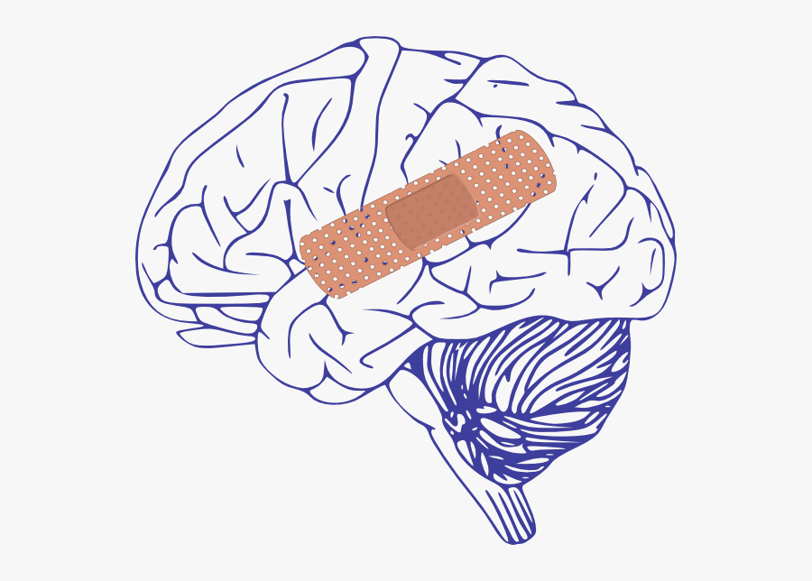 Brain Clipart Band Aid - Band Aid On Brain, Transparent Clipart