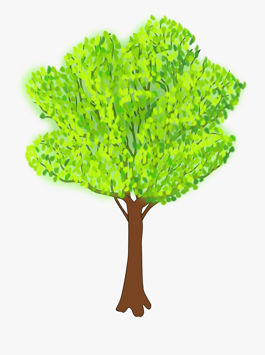 Transparent Palm Leaf Clipart - Summer Tree Clipart, Transparent Clipart