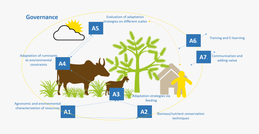Eclipse Clip Art, Transparent Clipart