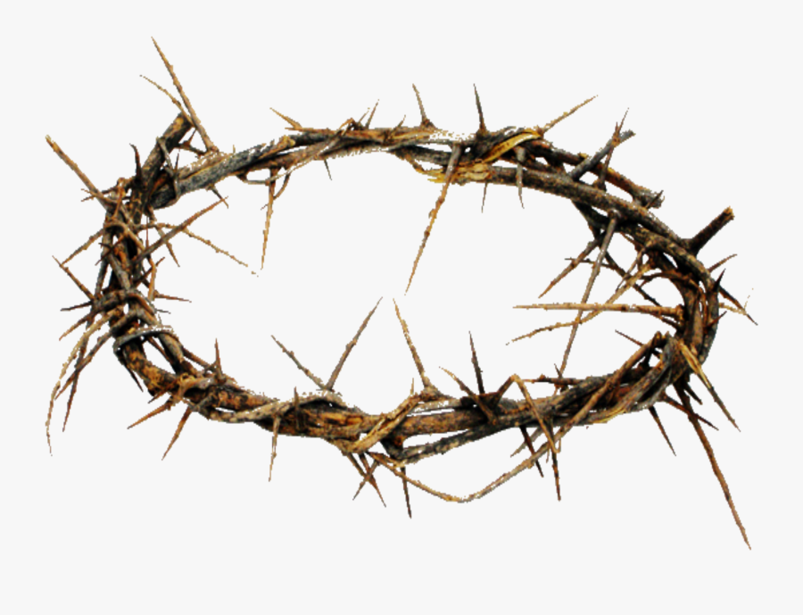 Crown Of Thorns Png Hd Transparent Crown Of Thorns - Jesus Crown Of Thorns Made, Transparent Clipart