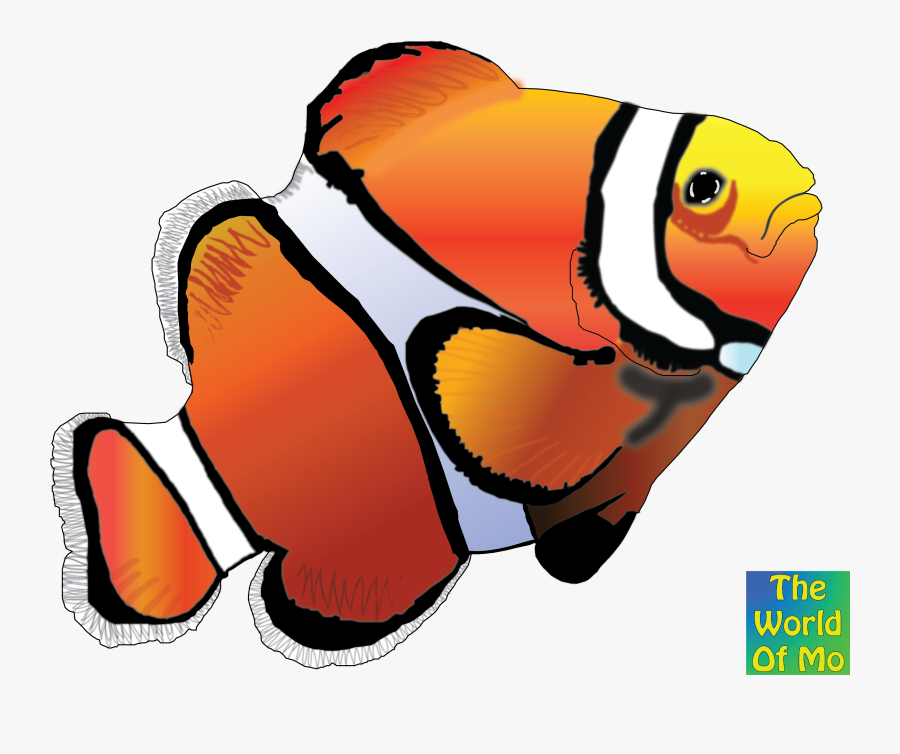 Clown Fish 2 Color Clipart , Png Download, Transparent Clipart