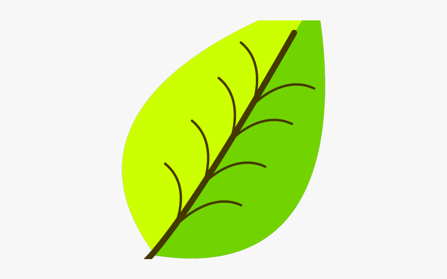 Leaves Drawing With Color, Transparent Clipart