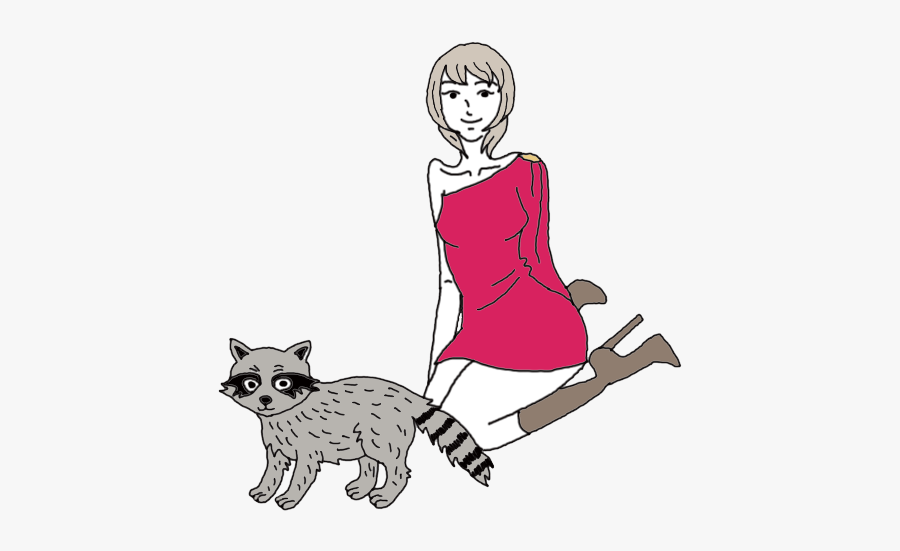 Raccoon - Illustration, Transparent Clipart
