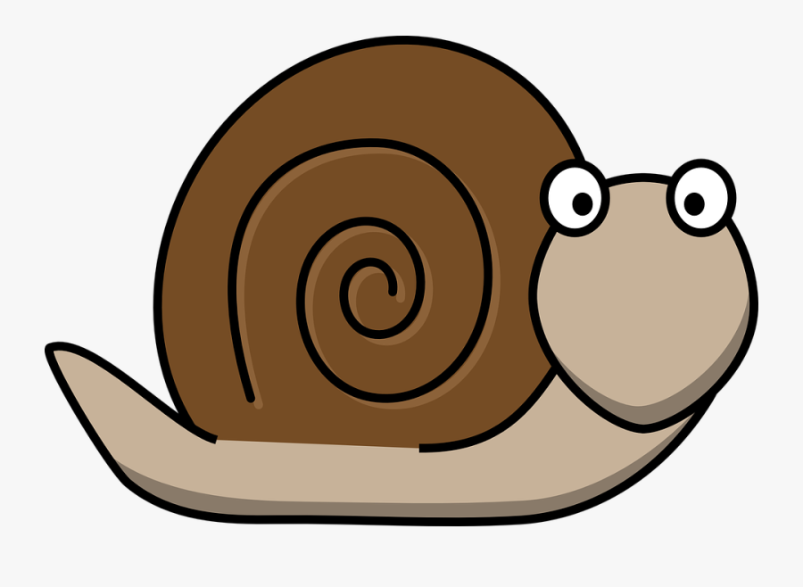 Clipart Snail, Transparent Clipart