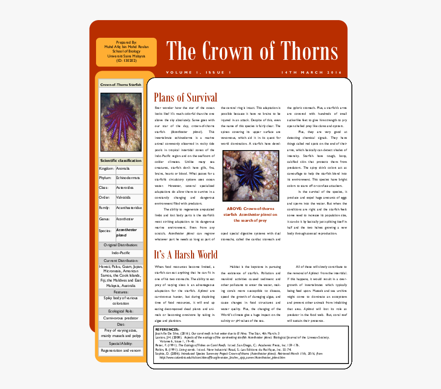 Tuinen, Transparent Clipart