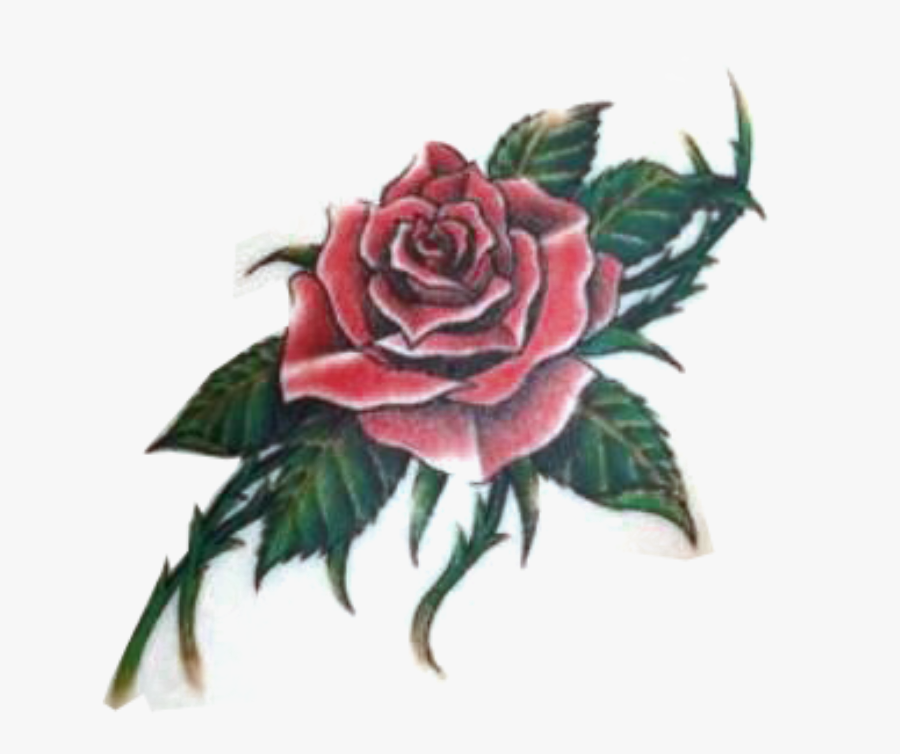 Rose And Thorns Tattoos Pictures And Cliparts, Download - Tattoo Rose With Thorns, Transparent Clipart