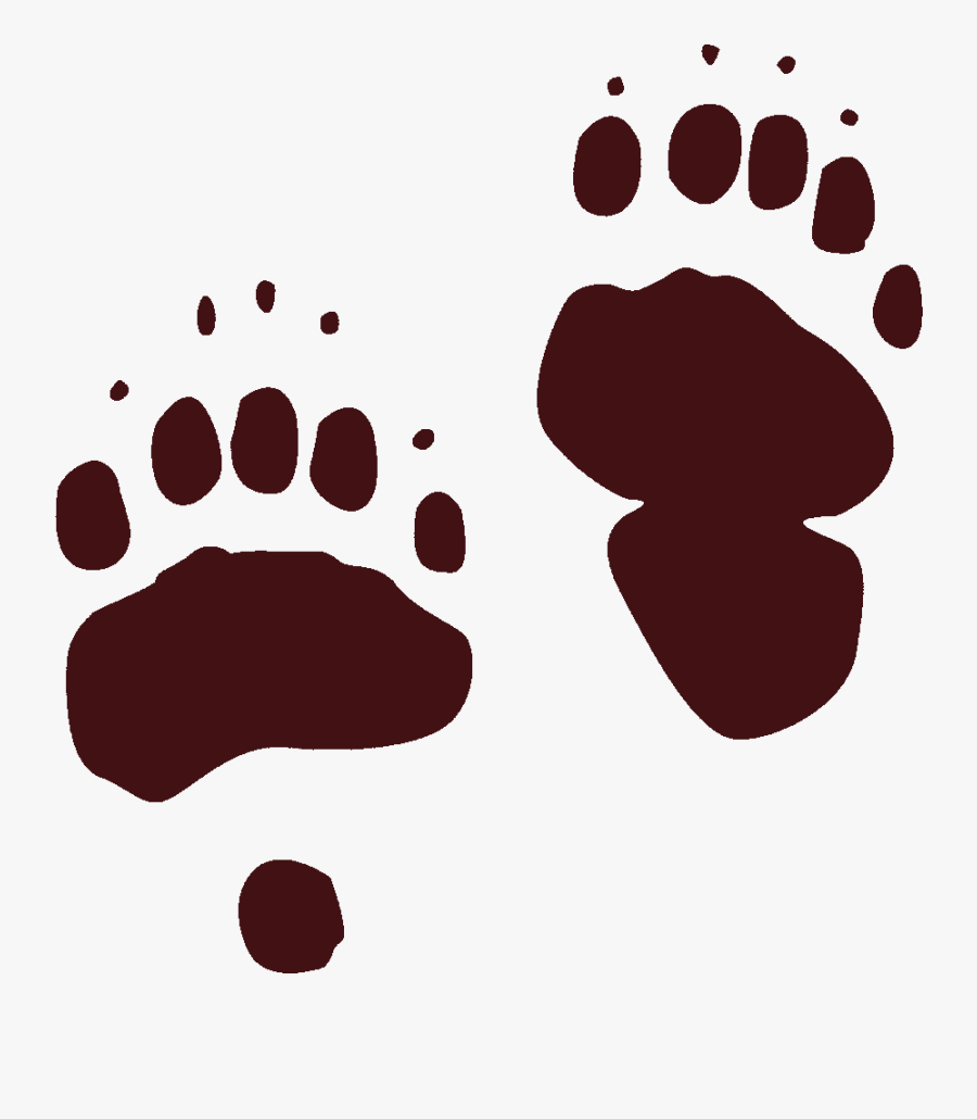 Black Bear Tracks Clipart American Black Bear Animal - Black Bear Tracks, Transparent Clipart