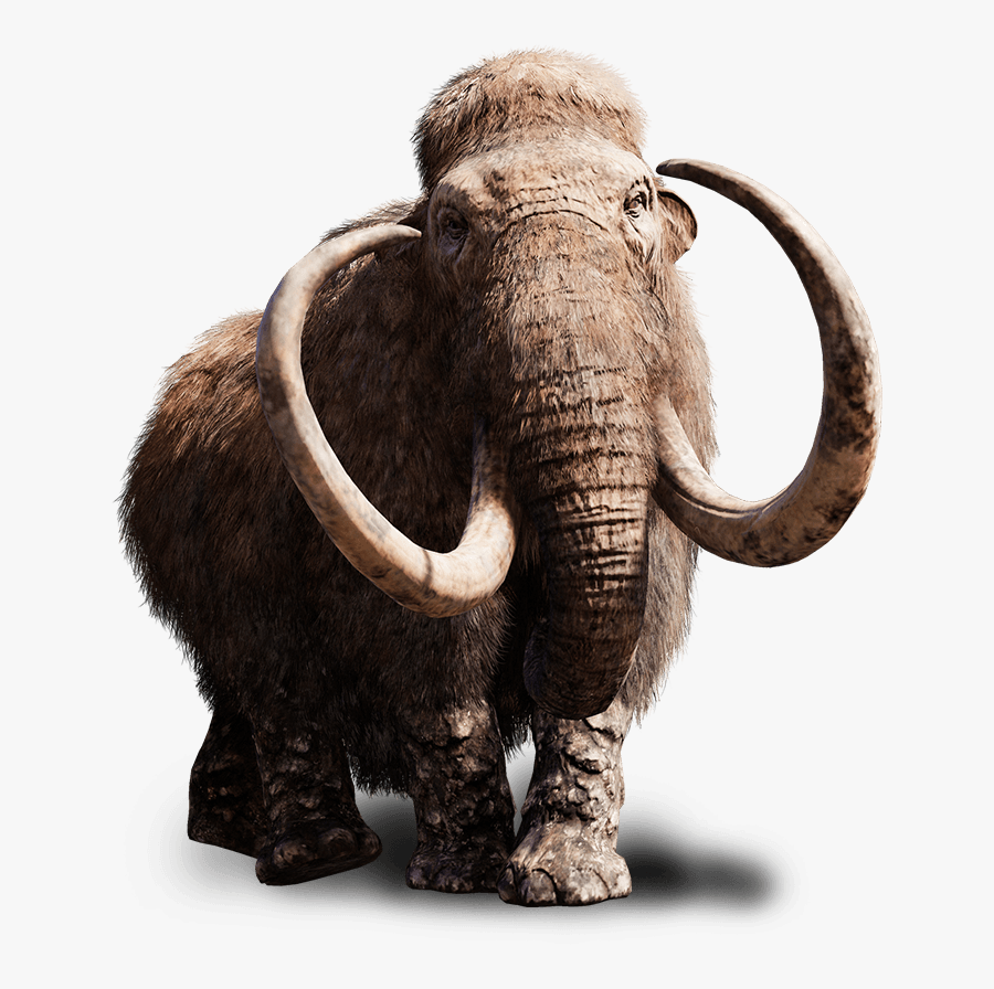 Far Cry Clipart Cry Primal - Mammoth Png, Transparent Clipart