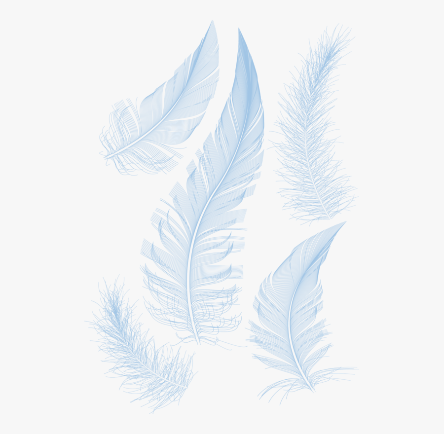 Transparent Feathers Clipart - Powerpoint Background Design Feather, Transparent Clipart