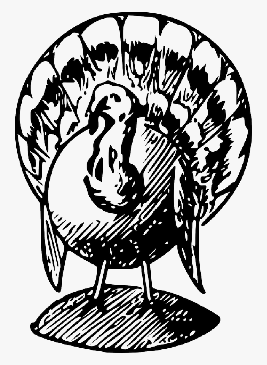 Turkey Without Feathers Clipart Black And White Free - Free Black And White Turkey Clipart, Transparent Clipart