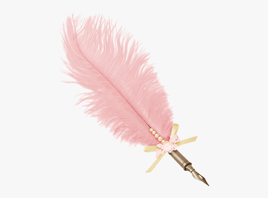 Feathers Photo Fether Pen - Pink Feathers Png Free, Transparent Clipart