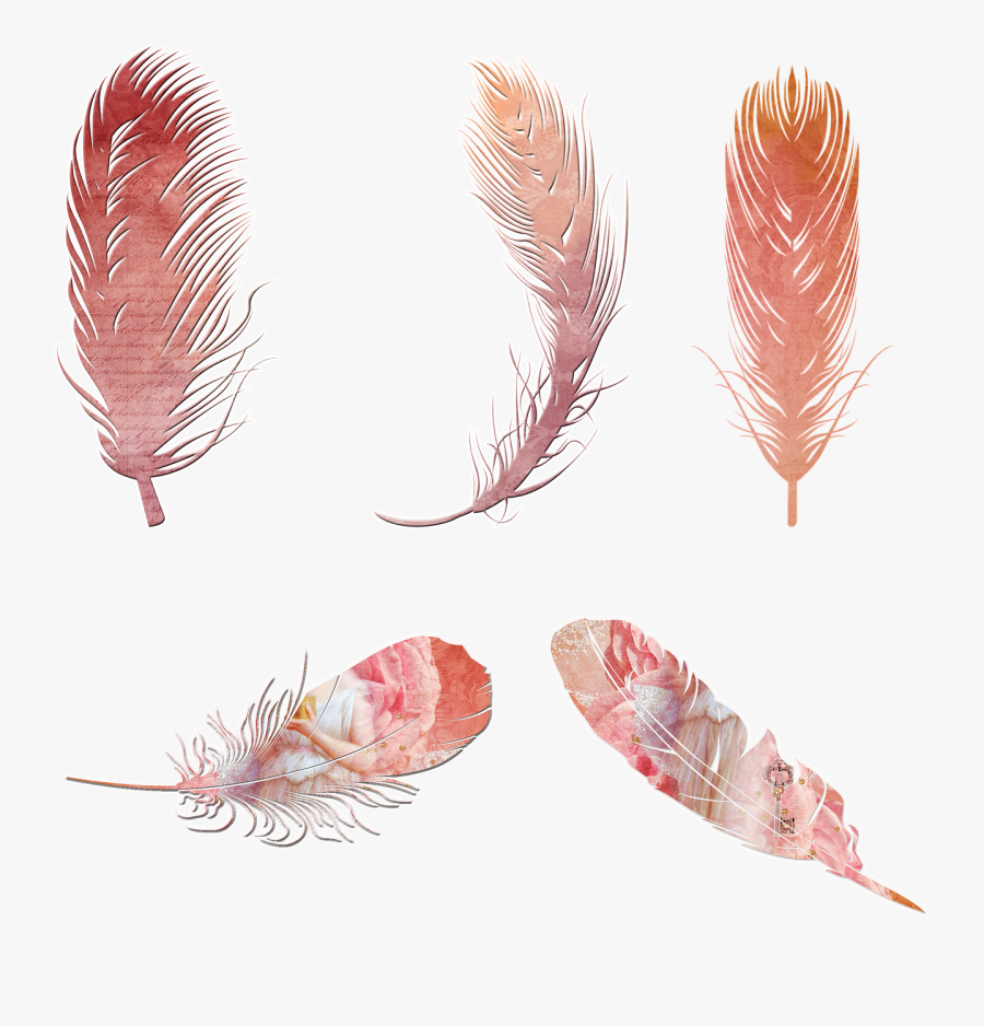 Free Image On Pixabay - Bohemian Feathers Clipart Blue, Transparent Clipart