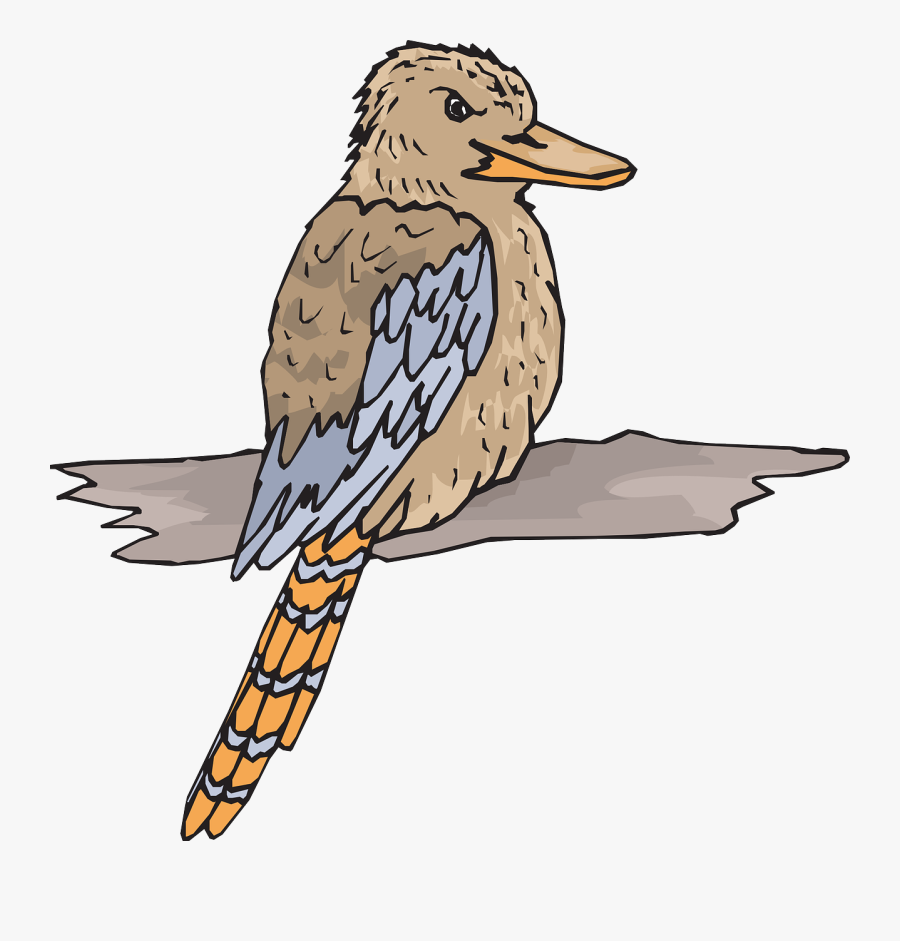 Kookaburra Clipart, Transparent Clipart