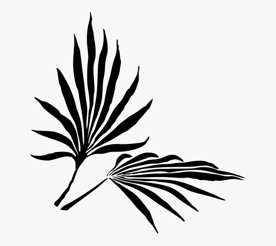 Clip Art Palm Sunday Images - Palm Frond Clip Art, Transparent Clipart