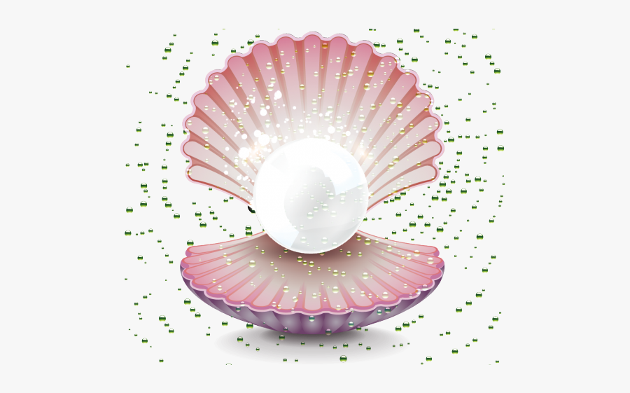 Pearl Shell Cliparts - Shell With Pearl Png, Transparent Clipart