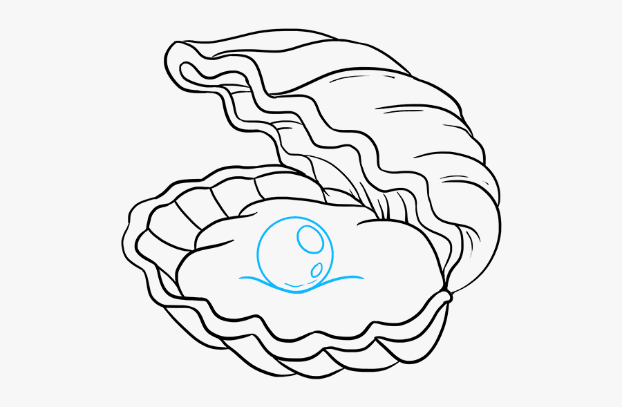 How To Draw An Oyster With A Pearl - Pearl In Oyster Drawing, Transparent Clipart